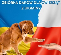 zmniejszone