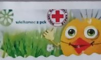pck 24 logo